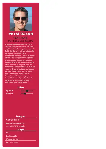 Mekatronik Mühendisliği Cv Örnekleri cv indir